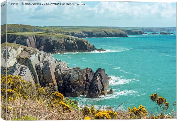 Beautiful Pembrokeshire Coast at Porthclais Canvas Print by Nick Jenkins