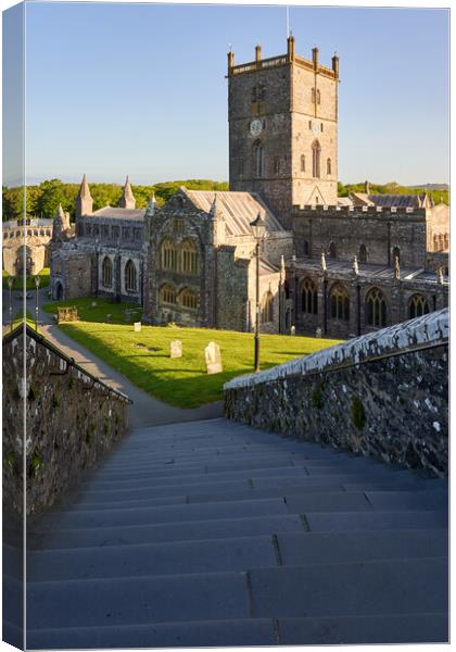 St Davids Cathedral Canvas Print by Richard Downs