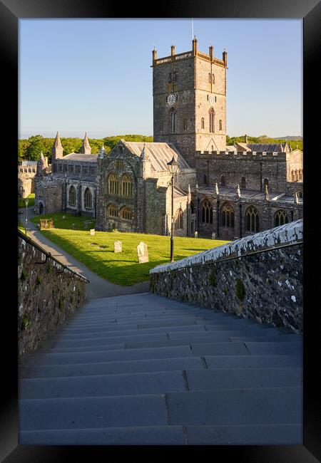 St Davids Cathedral Framed Print by Richard Downs