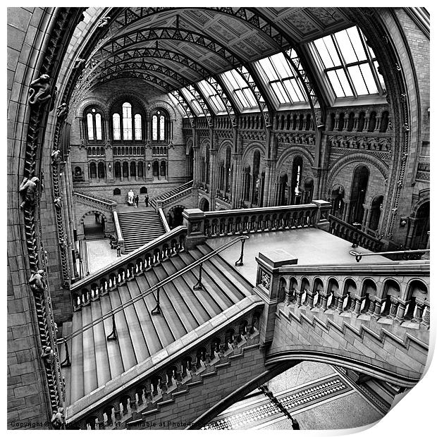 London, The Escher View Print by Martin Williams