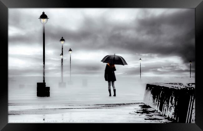 Walking in The Rain Framed Print by Irene Penhale