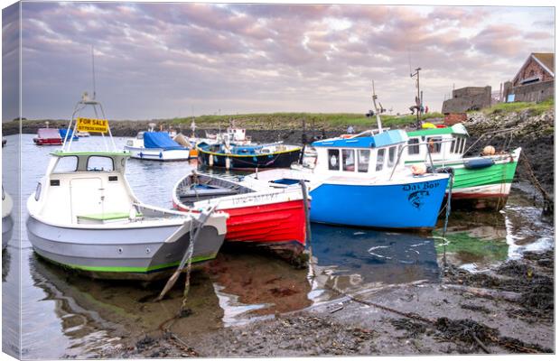 Coastal Delight: Paddy's Hole Harbour Canvas Print by Steve Smith