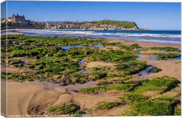 Rock Pools in Scarborough South Bay Canvas Print by Michael Shannon