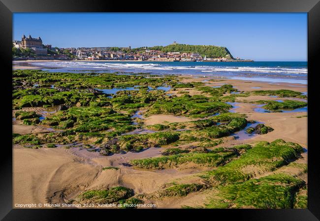 Rock Pools in Scarborough South Bay Framed Print by Michael Shannon