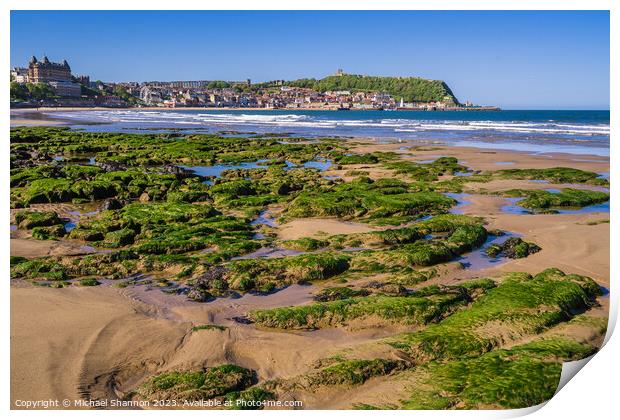 Rock Pools in Scarborough South Bay Print by Michael Shannon