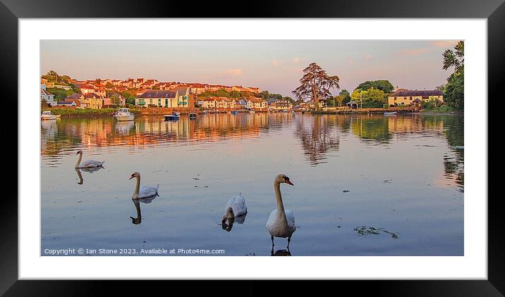 Just swanning around ! Framed Mounted Print by Ian Stone
