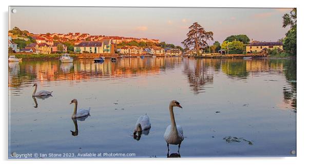 Just swanning around ! Acrylic by Ian Stone