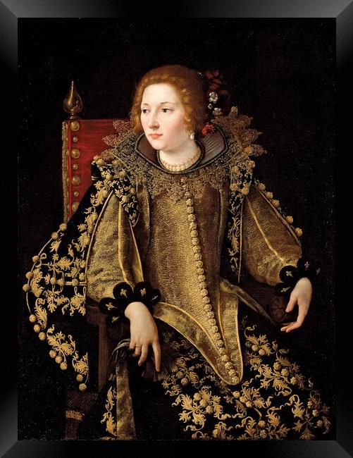 Golden Lady: A Baroque Portrait Framed Print by Luigi Petro