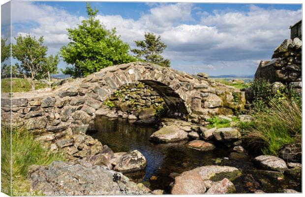 Quaint Old Footbridge Canvas Print by Pearl Bucknall