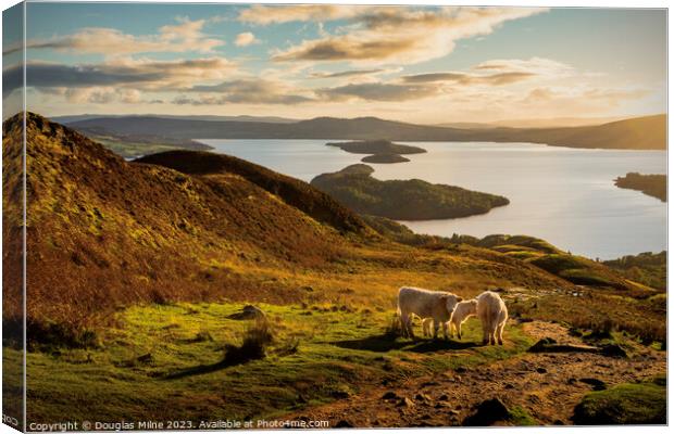 An Autumn Evening on Conic Hill Canvas Print by Douglas Milne