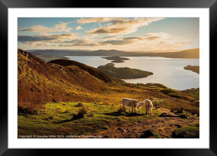 An Autumn Evening on Conic Hill Framed Mounted Print by Douglas Milne