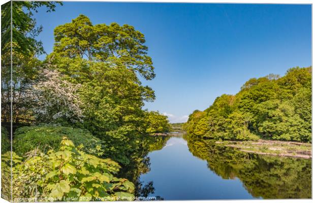 Spring Morning on the Tees at Wycliffe, Teesdale Canvas Print by Richard Laidler