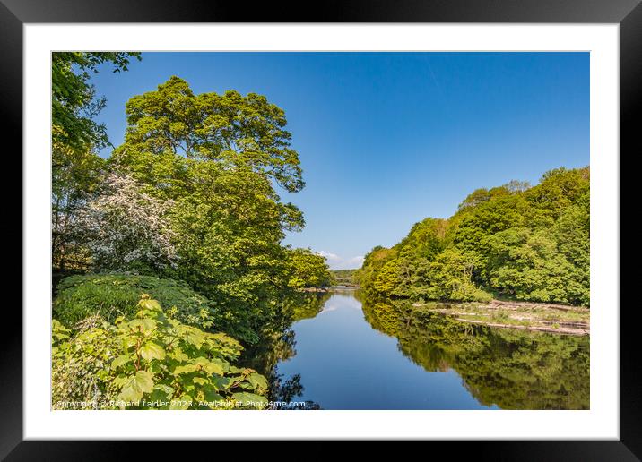 Spring Morning on the Tees at Wycliffe, Teesdale Framed Mounted Print by Richard Laidler