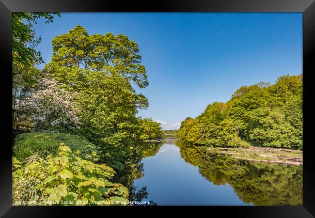 Spring Morning on the Tees at Wycliffe, Teesdale Framed Print by Richard Laidler