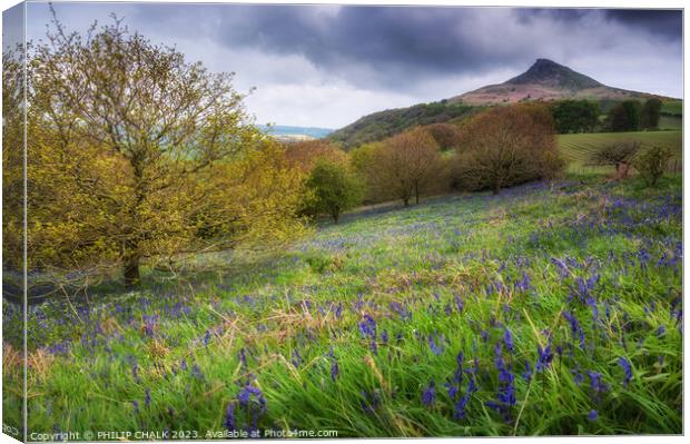 Roseberry topping 892 Canvas Print by PHILIP CHALK