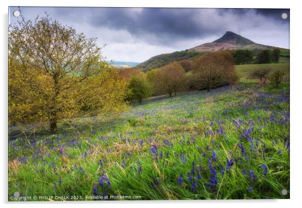 Roseberry topping 892 Acrylic by PHILIP CHALK