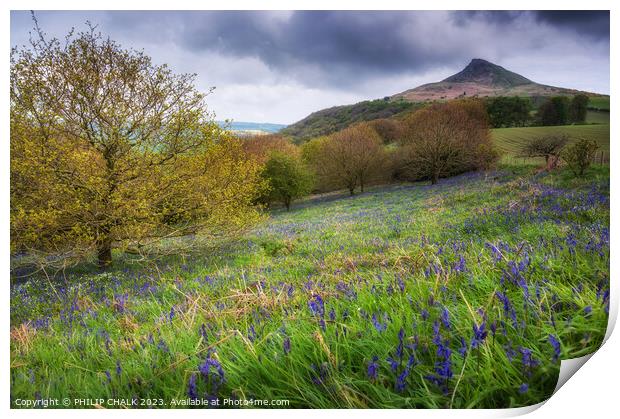 Roseberry topping 892 Print by PHILIP CHALK