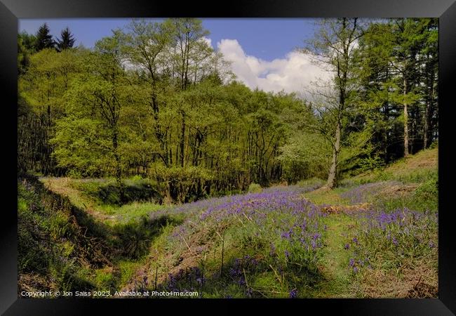 Bluebells on Cannock Chase Framed Print by Jon Saiss