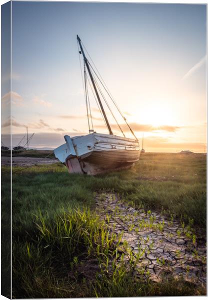 High and Dry at Heswall Shore  Canvas Print by Liam Neon