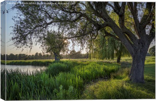 Hour before sunset at Bushy Park ponds Canvas Print by Kevin White