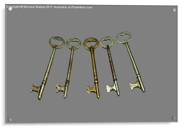 Skeleton Keys Acrylic by Michael Waters Photography