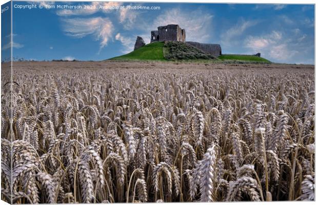 Field of Barley at Duffus Castle Canvas Print by Tom McPherson