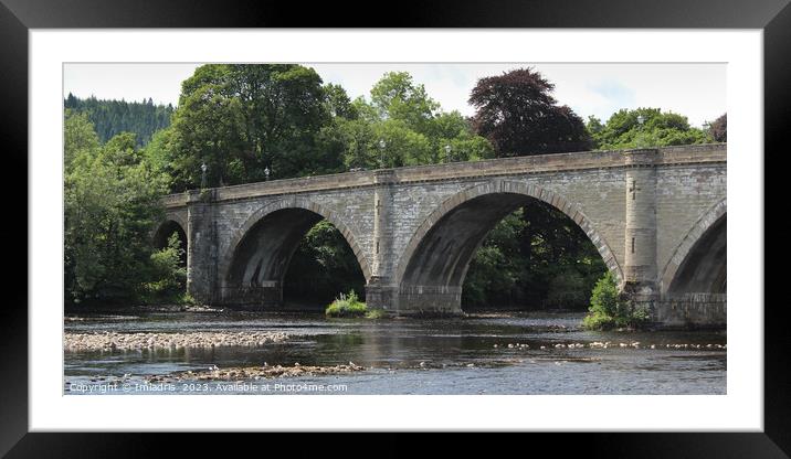 Telford Bridge, Dunkeld, Perthshire, Scotland Framed Mounted Print by Imladris 