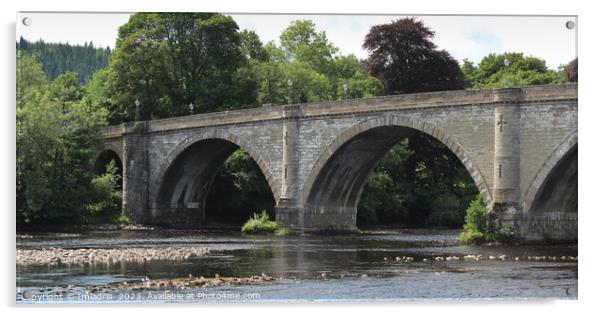 Telford Bridge, Dunkeld, Perthshire, Scotland Acrylic by Imladris 