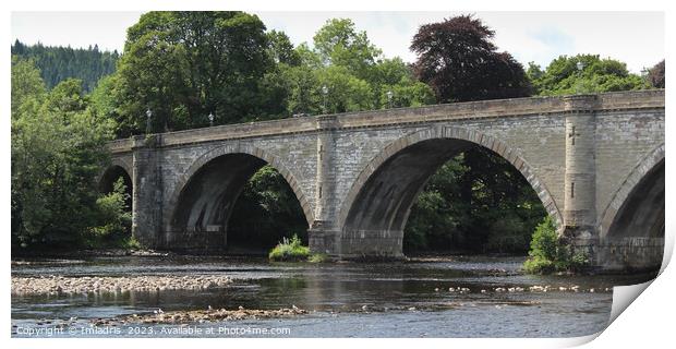 Telford Bridge, Dunkeld, Perthshire, Scotland Print by Imladris 