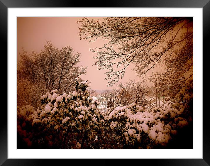 Snowy Warmth Framed Mounted Print by Louise Godwin
