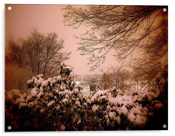 Snowy Warmth Acrylic by Louise Godwin