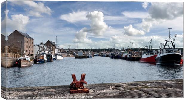 Bonnie Burghead Harbour Canvas Print by Tom McPherson