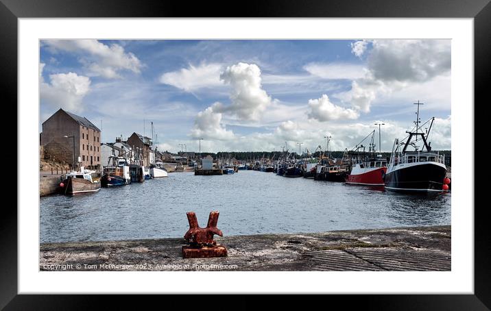 Bonnie Burghead Harbour Framed Mounted Print by Tom McPherson