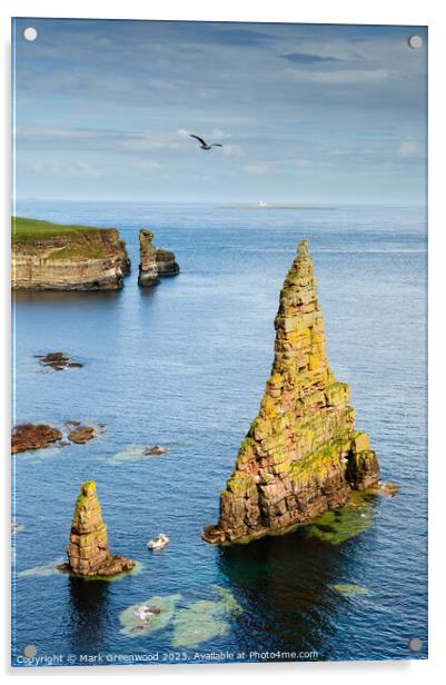 Duncansby Sea Stacks Acrylic by Mark Greenwood