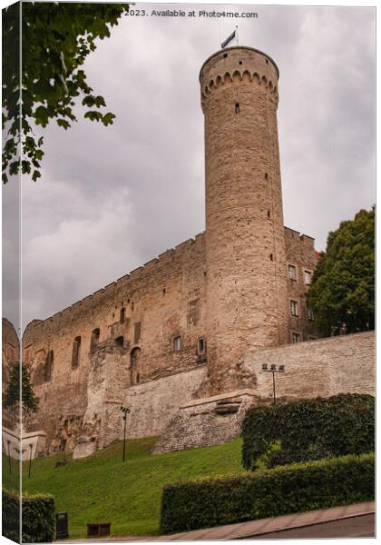 Medieval Walls of Tallinn Canvas Print by Sally Wallis