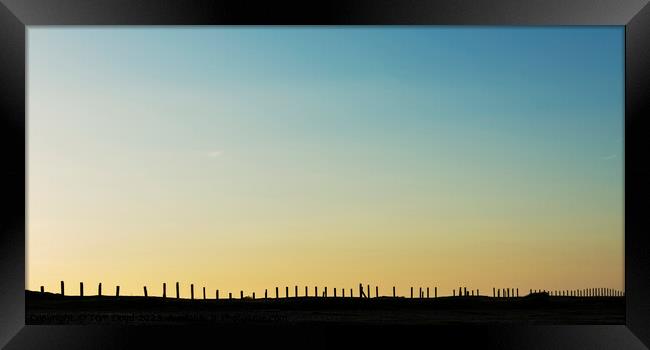 Sleepers Framed Print by Tom Lloyd