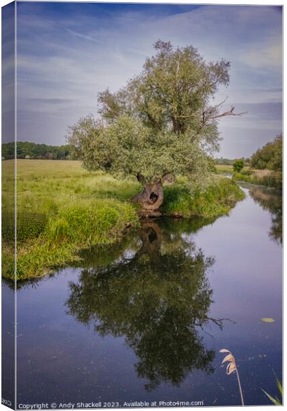 Ancient Willow on the Ouse Canvas Print by Andy Shackell