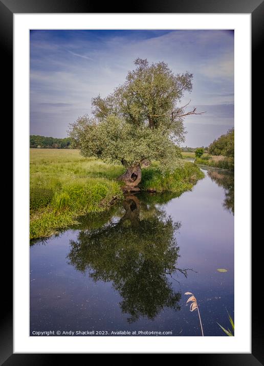 Ancient Willow on the Ouse Framed Mounted Print by Andy Shackell