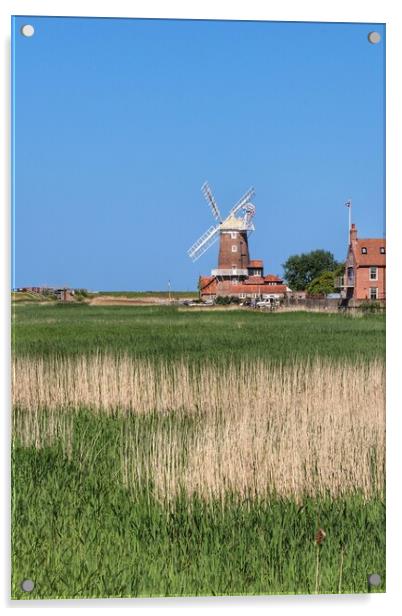 Cley windmill in the afternoon sun in  norfolk  Acrylic by Tony lopez