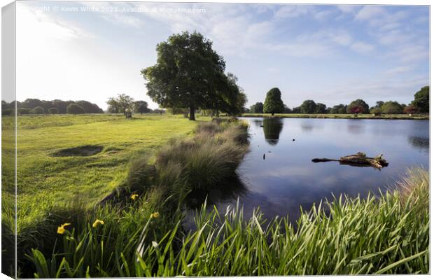 Bright morning sun at Bushy Park in Surrey Canvas Print by Kevin White