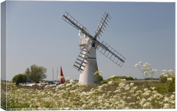 Thurne Mill Late Spring, Norfolk Canvas Print by Sally Lloyd