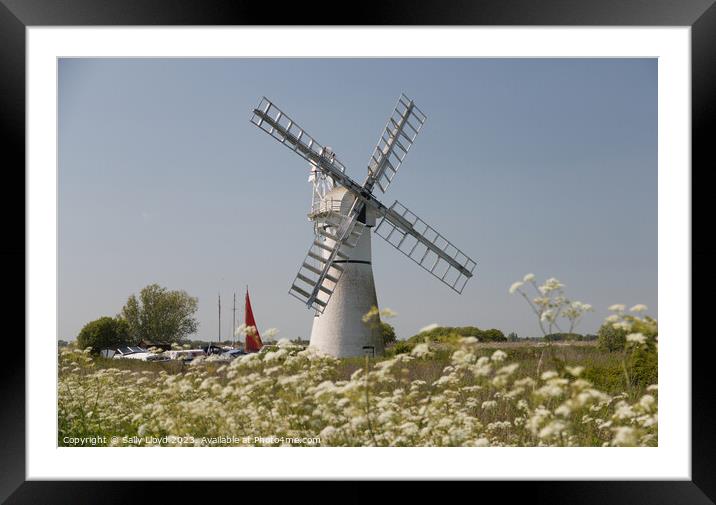Thurne Mill Late Spring, Norfolk Framed Mounted Print by Sally Lloyd