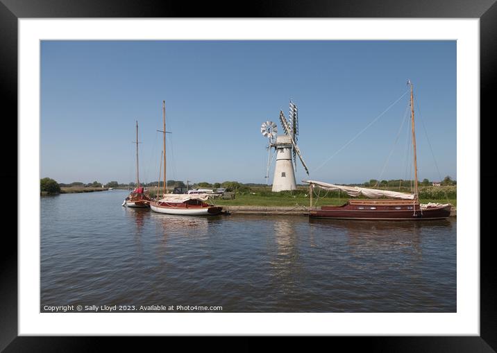 Thurne Mill and Sailing Boats, Norfolk Framed Mounted Print by Sally Lloyd