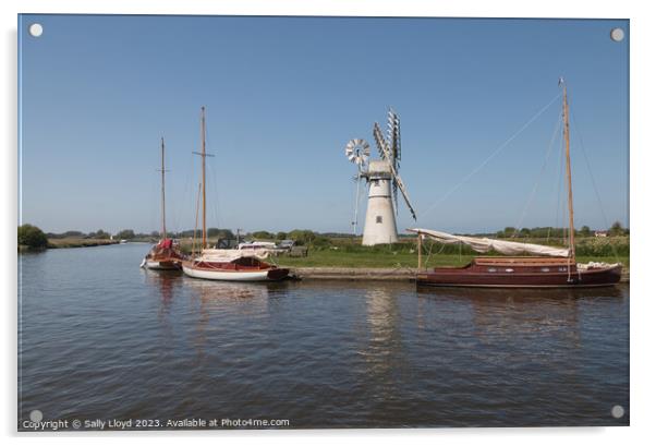 Thurne Mill and Sailing Boats, Norfolk Acrylic by Sally Lloyd