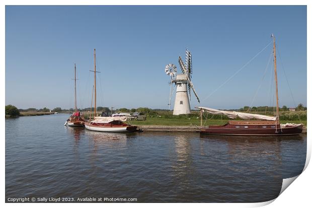 Thurne Mill and Sailing Boats, Norfolk Print by Sally Lloyd