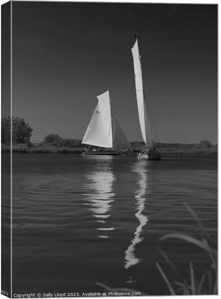 River Cruisers racing at Thurne, Norfolk Canvas Print by Sally Lloyd