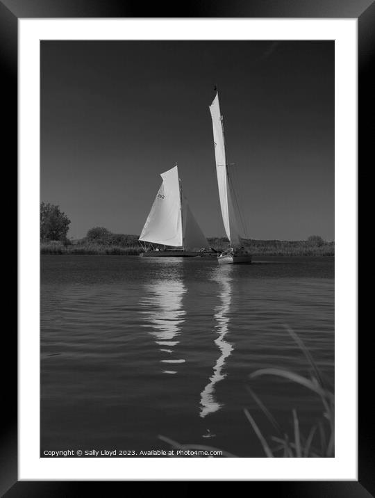 River Cruisers racing at Thurne, Norfolk Framed Mounted Print by Sally Lloyd