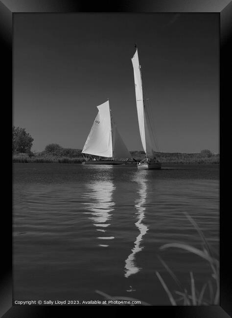 River Cruisers racing at Thurne, Norfolk Framed Print by Sally Lloyd