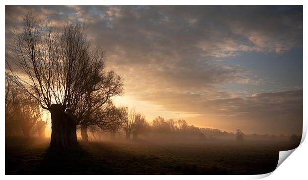 Sunrise over Chester Meadows Print by Celtic Origins