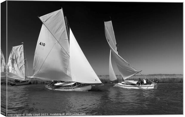River Cruisers racing at Acle Regatta in Norfolk Canvas Print by Sally Lloyd